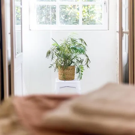 Jardins Da Muralha By Da'home Porto