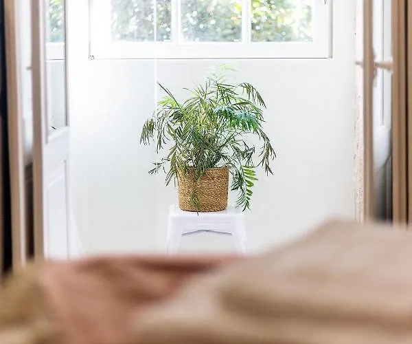 Jardins Da Muralha By Da'home ポルト